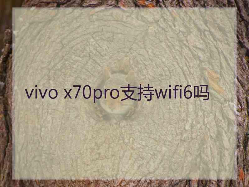 vivo x70pro支持wifi6吗