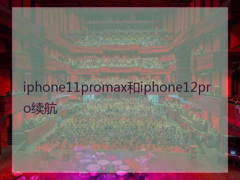 iphone11promax和iphone12pro续航