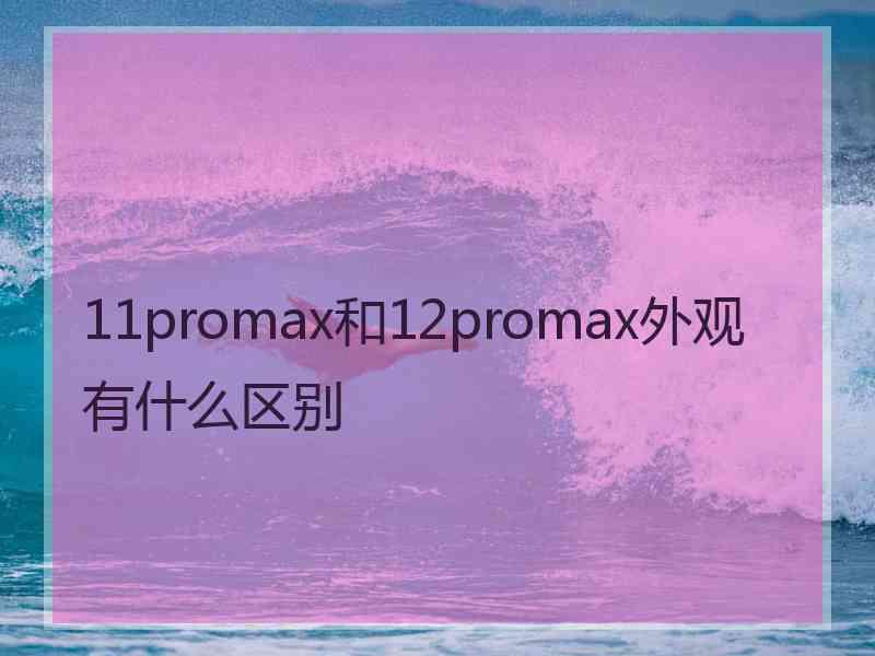 11promax和12promax外观有什么区别