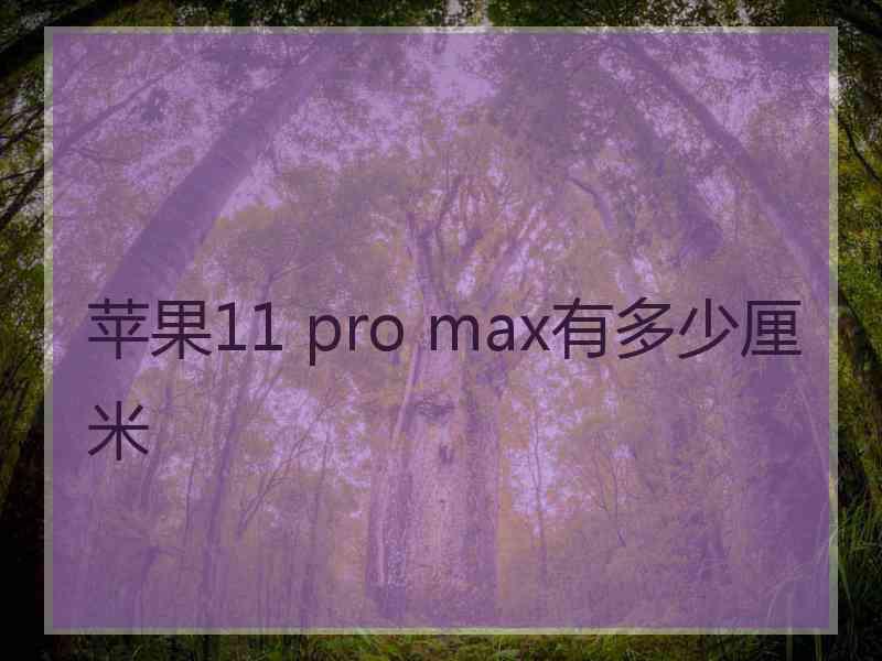 苹果11 pro max有多少厘米