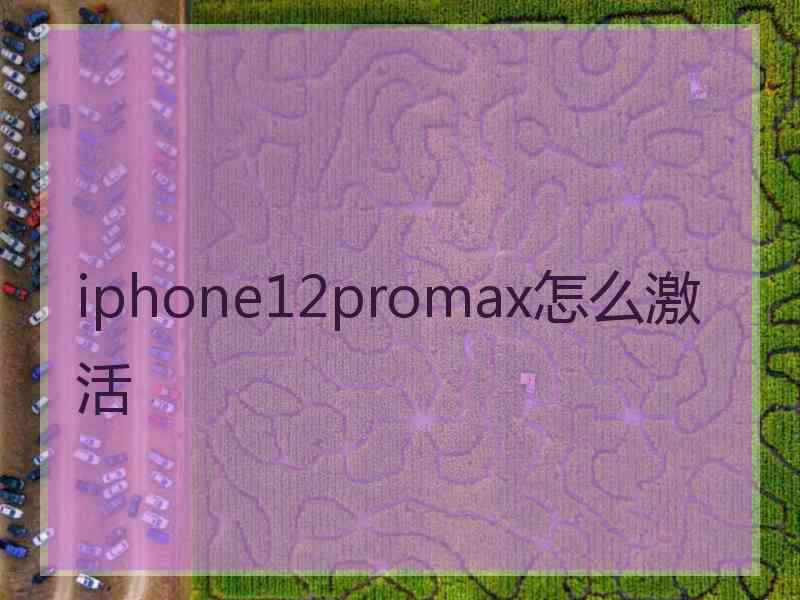 iphone12promax怎么激活