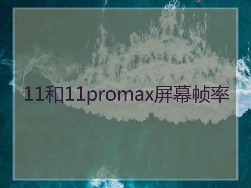 11和11promax屏幕帧率