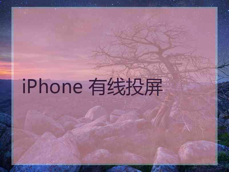 iPhone 有线投屏