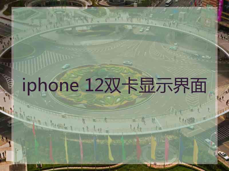 iphone 12双卡显示界面