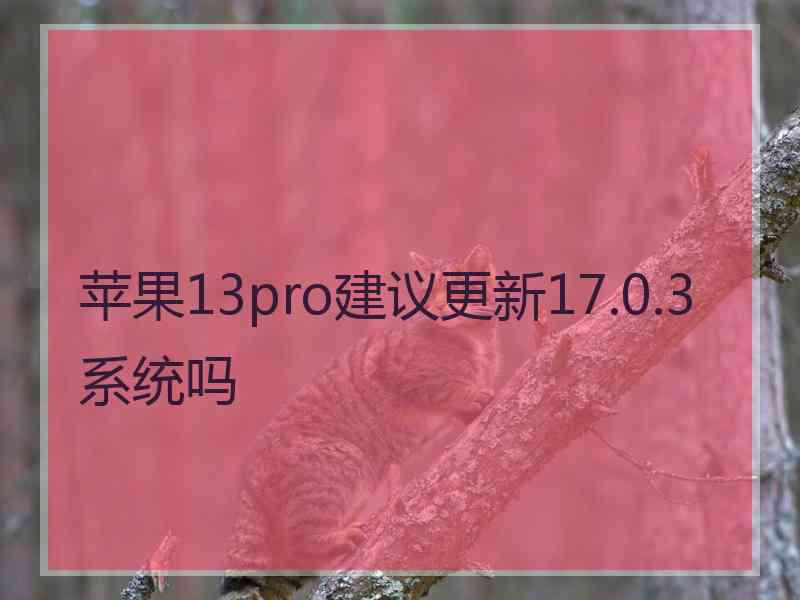 苹果13pro建议更新17.0.3系统吗