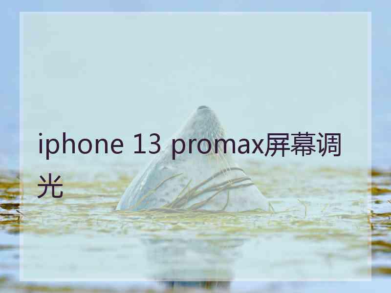 iphone 13 promax屏幕调光