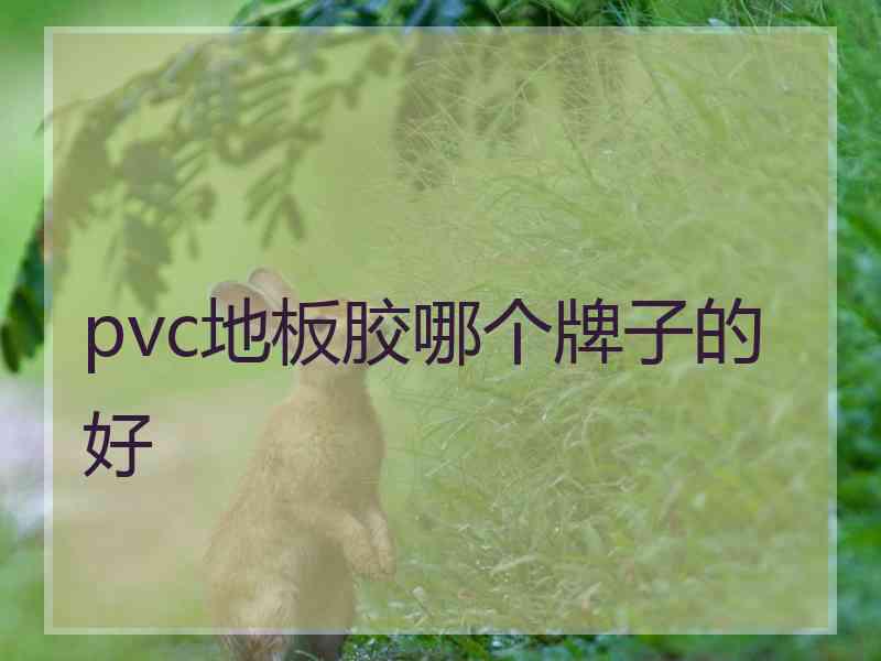 pvc地板胶哪个牌子的好