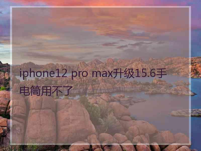 iphone12 pro max升级15.6手电筒用不了