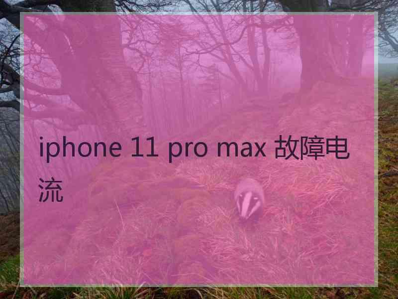 iphone 11 pro max 故障电流