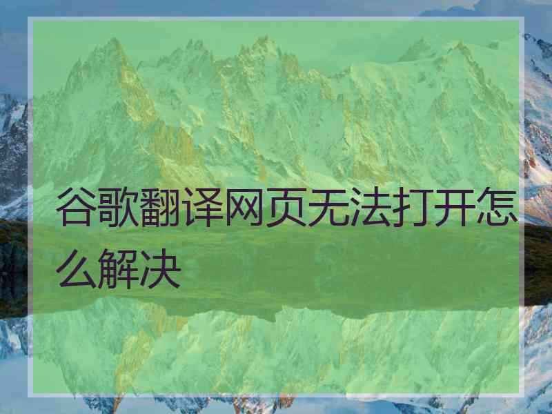 谷歌翻译网页无法打开怎么解决