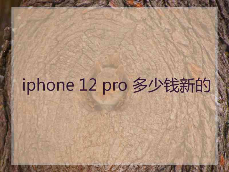 iphone 12 pro 多少钱新的