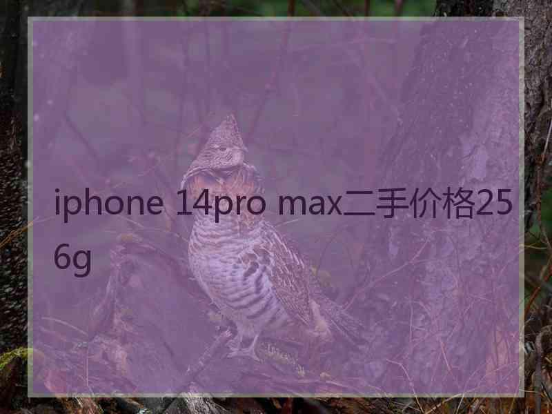 iphone 14pro max二手价格256g