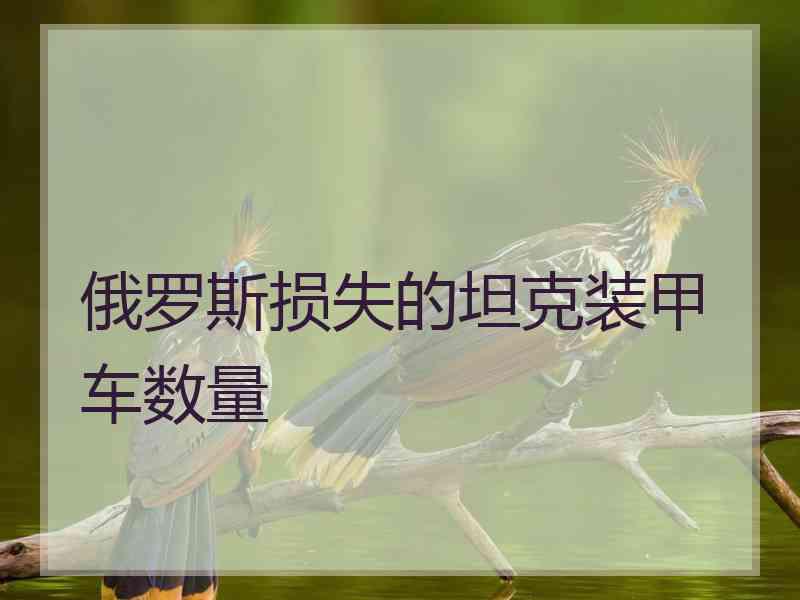 俄罗斯损失的坦克装甲车数量