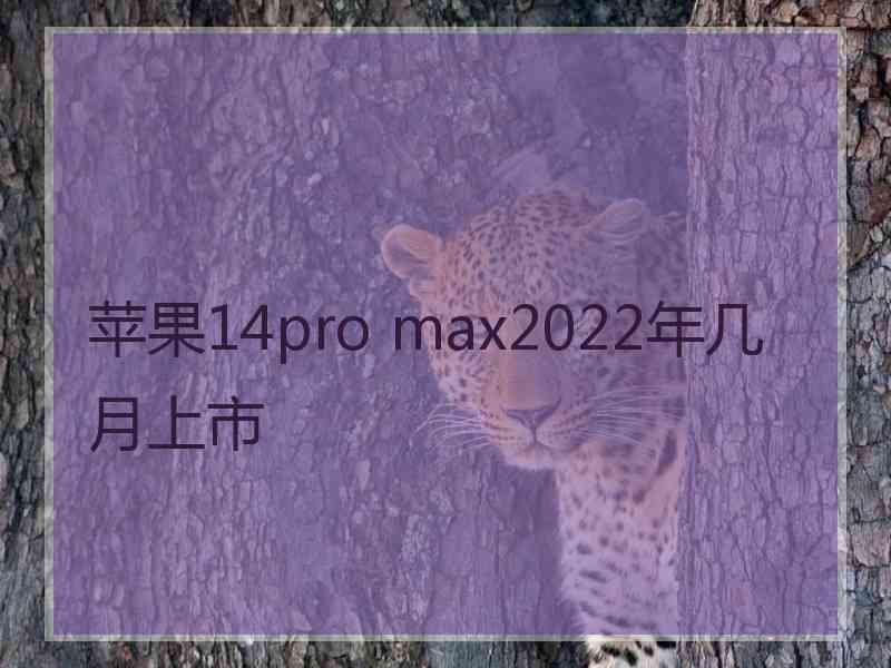 苹果14pro max2022年几月上市