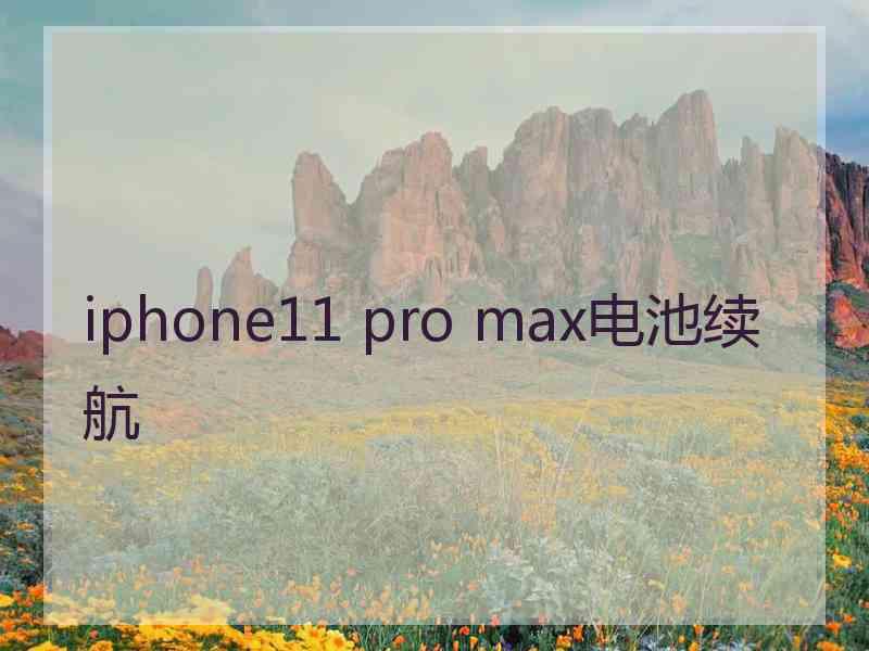 iphone11 pro max电池续航