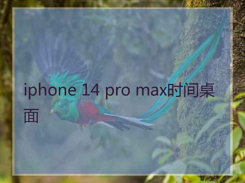 iphone 14 pro max时间桌面