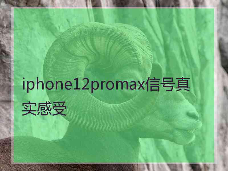 iphone12promax信号真实感受