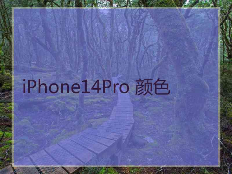 iPhone14Pro 颜色