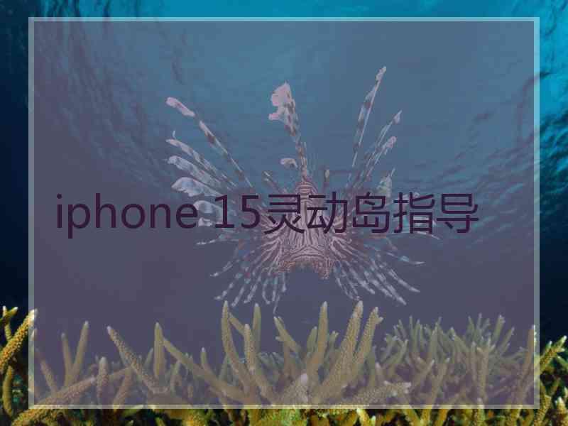 iphone 15灵动岛指导