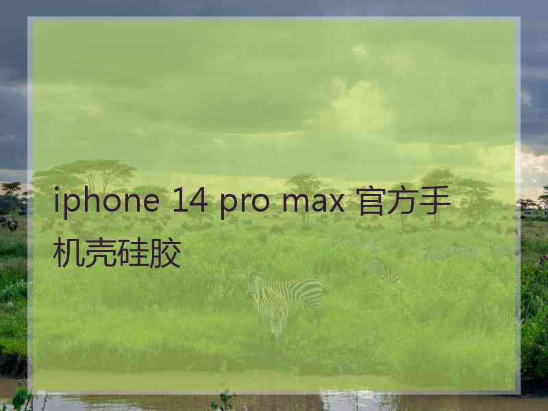 iphone 14 pro max 官方手机壳硅胶