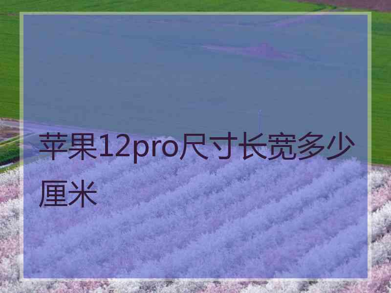 苹果12pro尺寸长宽多少厘米