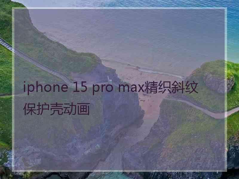 iphone 15 pro max精织斜纹保护壳动画