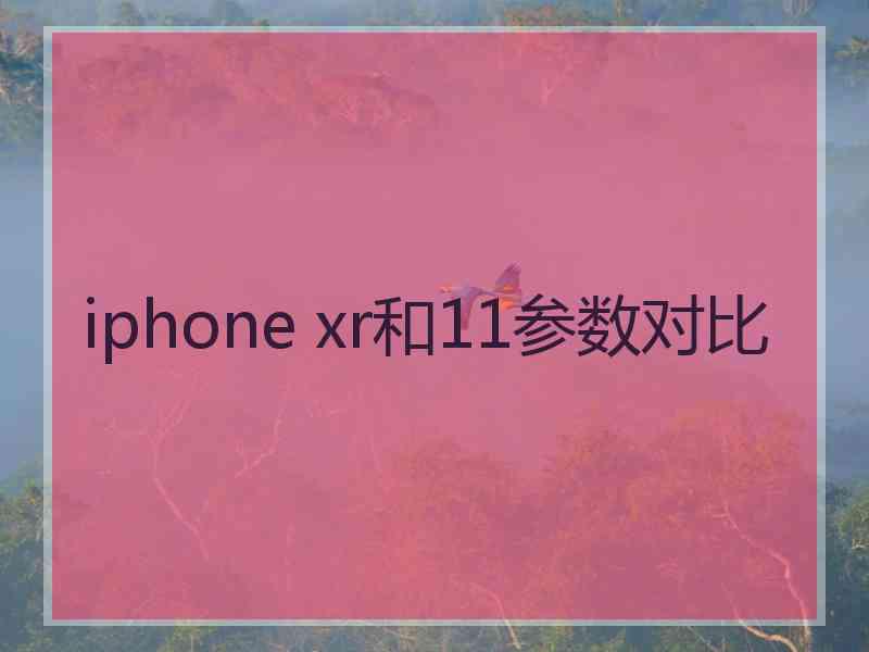 iphone xr和11参数对比