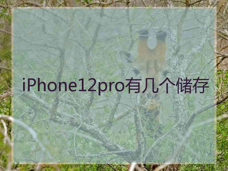 iPhone12pro有几个储存