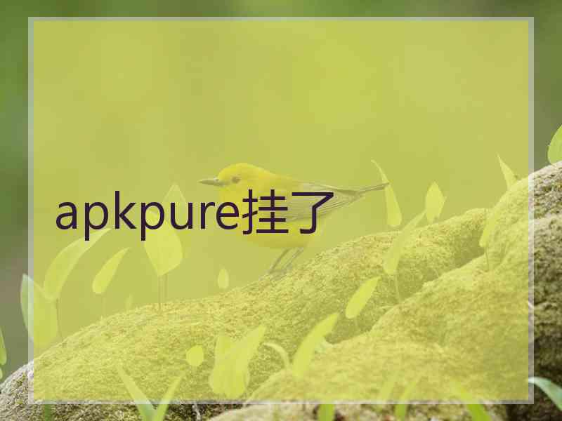 apkpure挂了