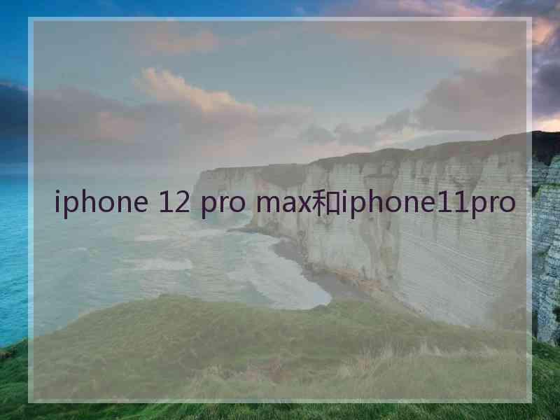 iphone 12 pro max和iphone11pro