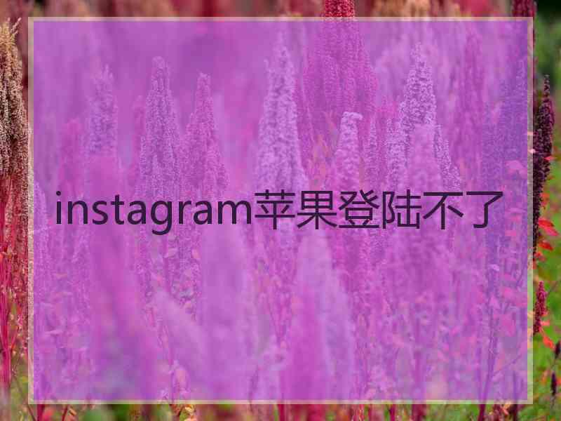 instagram苹果登陆不了