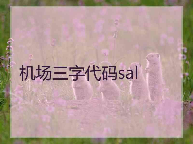 机场三字代码sal