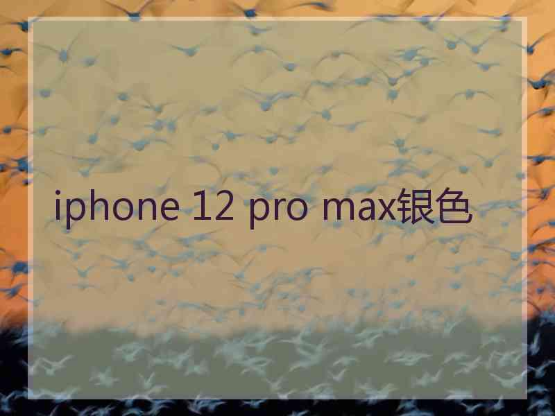 iphone 12 pro max银色