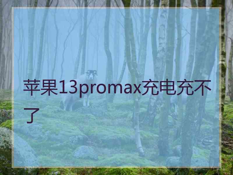 苹果13promax充电充不了