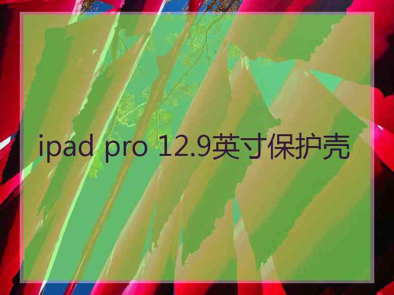 ipad pro 12.9英寸保护壳