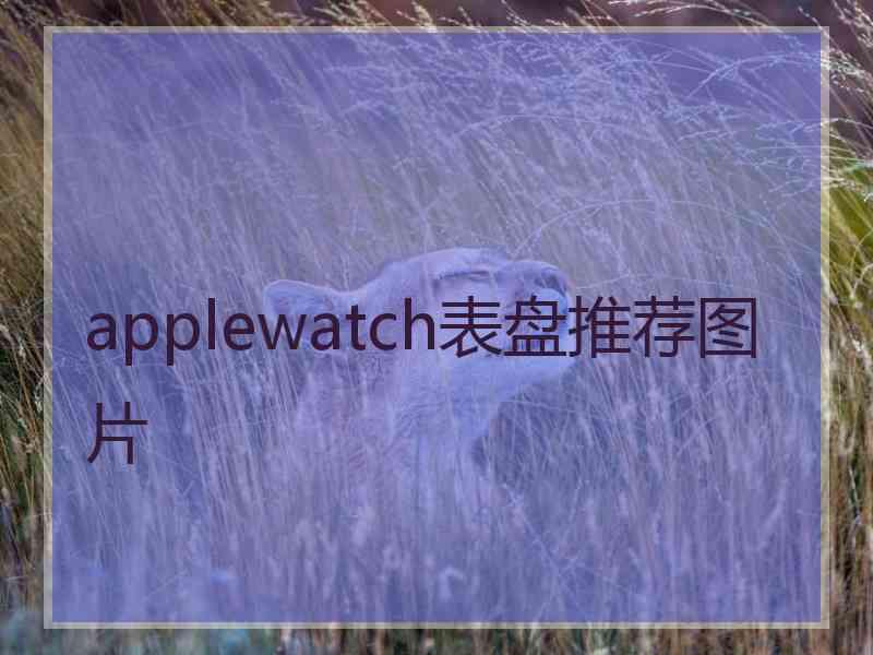 applewatch表盘推荐图片