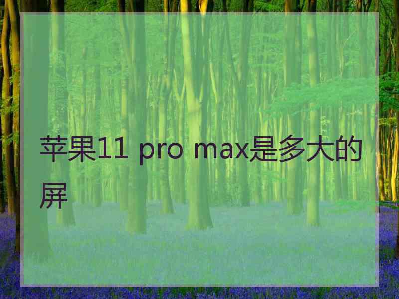 苹果11 pro max是多大的屏