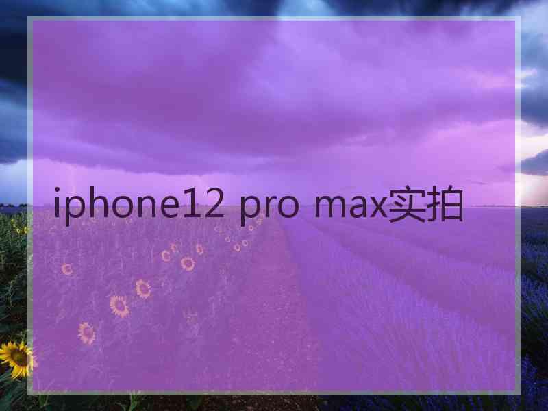 iphone12 pro max实拍