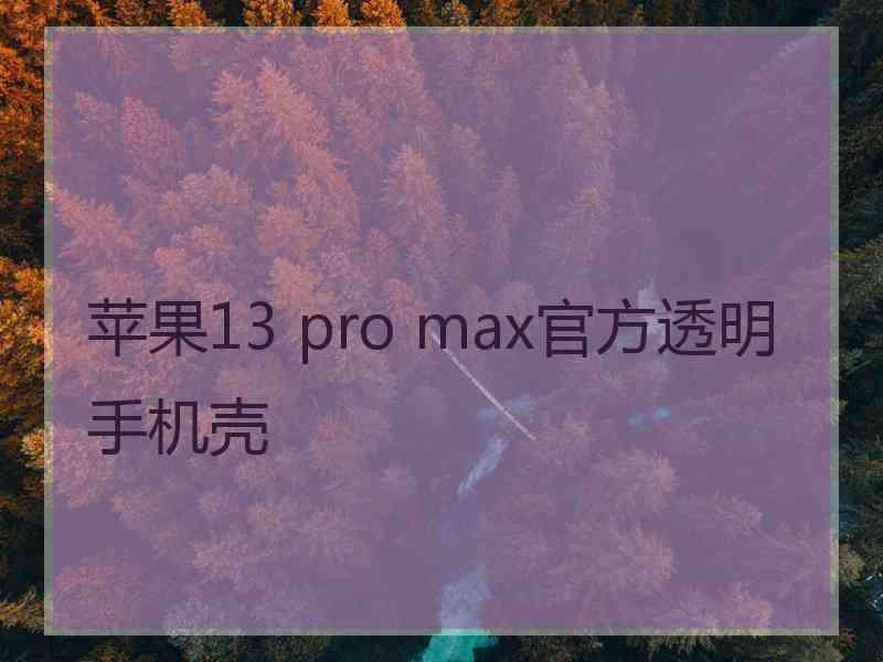 苹果13 pro max官方透明手机壳