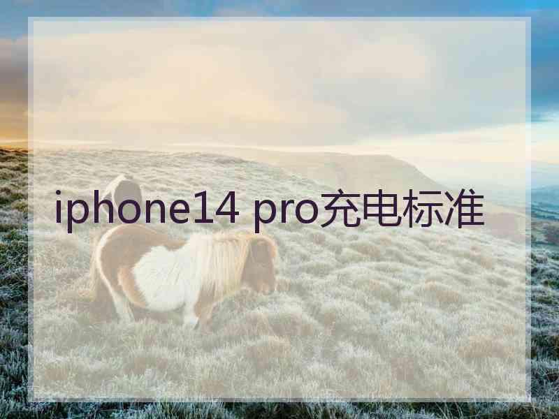 iphone14 pro充电标准