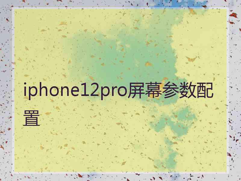 iphone12pro屏幕参数配置