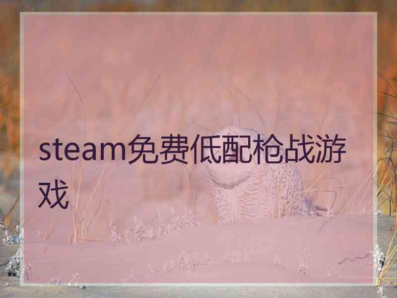 steam免费低配枪战游戏