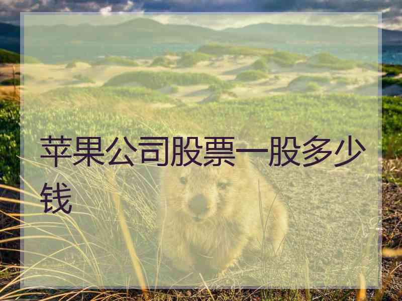 苹果公司股票一股多少钱