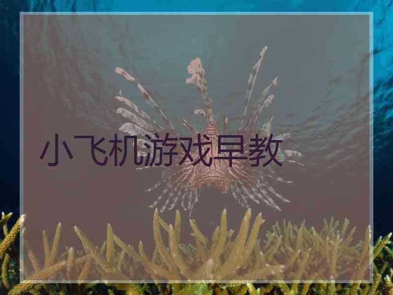 小飞机游戏早教