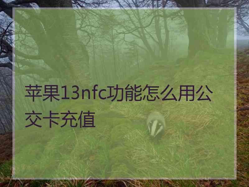 苹果13nfc功能怎么用公交卡充值