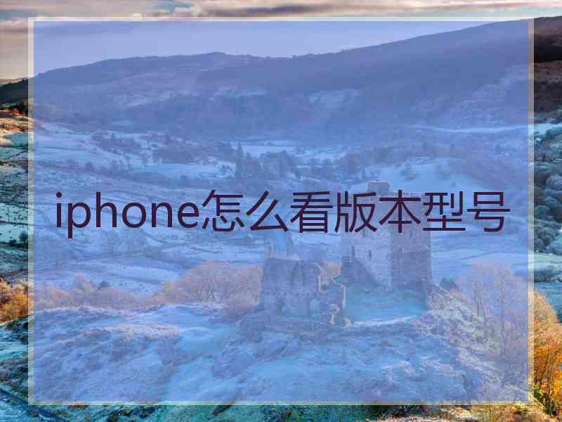 iphone怎么看版本型号