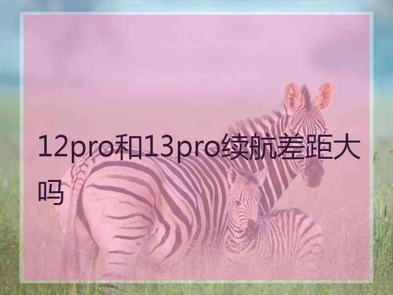 12pro和13pro续航差距大吗