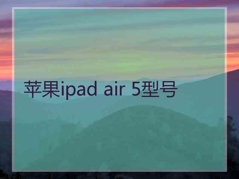 苹果ipad air 5型号