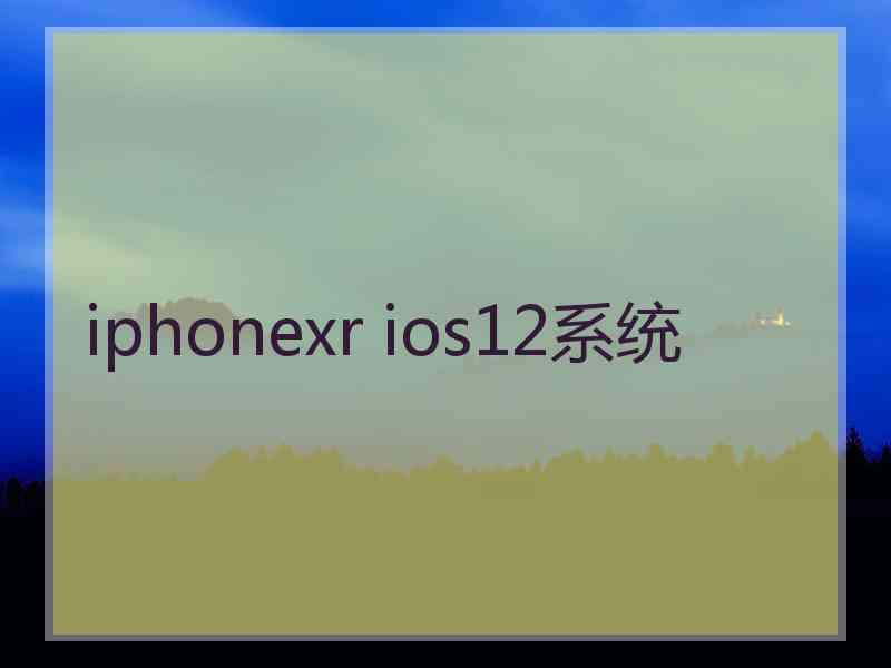 iphonexr ios12系统