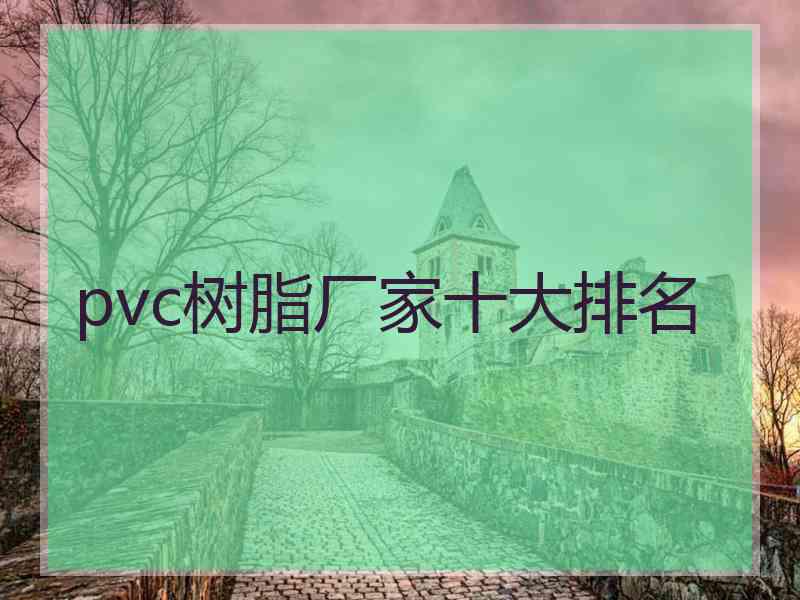 pvc树脂厂家十大排名